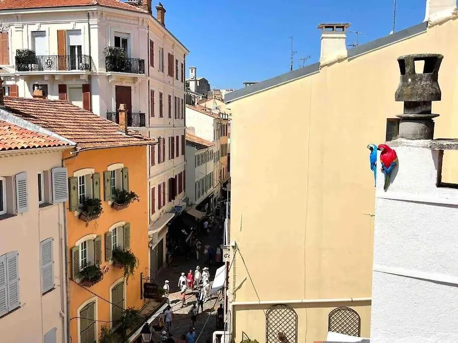 Maison Meynadier Cannes 0*,  France